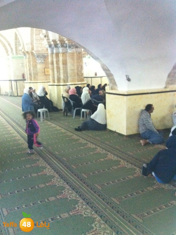 3omraludramla315 (4).jpg